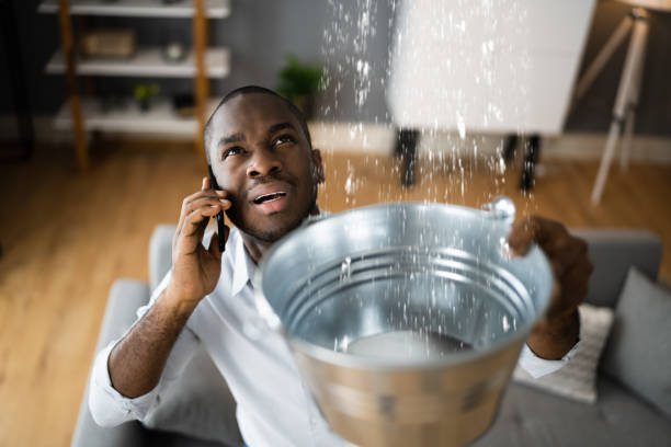 Best Water damage cleanup near me  in Averill Park, NY