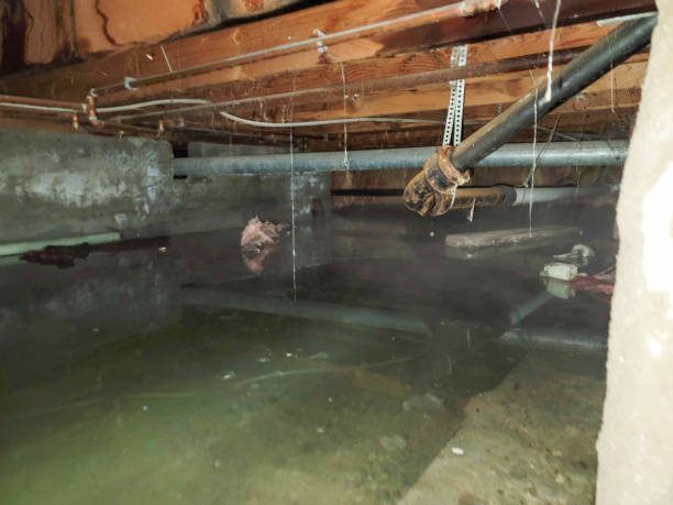 Best Emergency water damage restoration  in Averill Park, NY