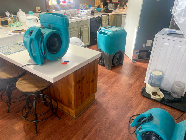 Best Professional water damage repair  in Averill Park, NY