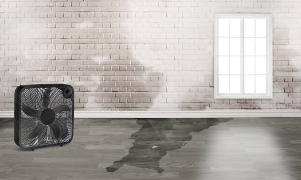 Best Residential water damage restoration  in Averill Park, NY