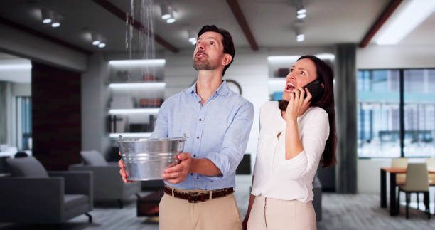 Best Ceiling water damage repair  in Averill Park, NY